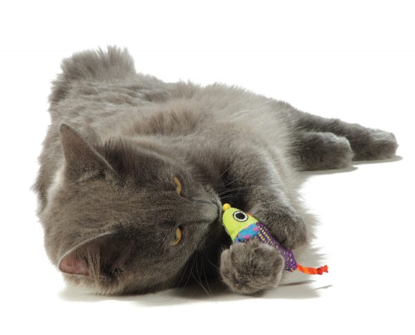 327 Catnip Chew Mice (Prijs per omverpakking a 3 stuks) - Afbeelding 4