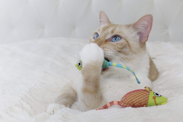 327 Catnip Chew Mice (Prijs per omverpakking a 3 stuks) - Afbeelding 6