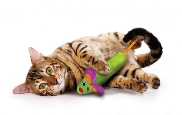 384 Green Magic Mighty Mouse (Prijs per omverpakking a 3 stuks) - Afbeelding 4