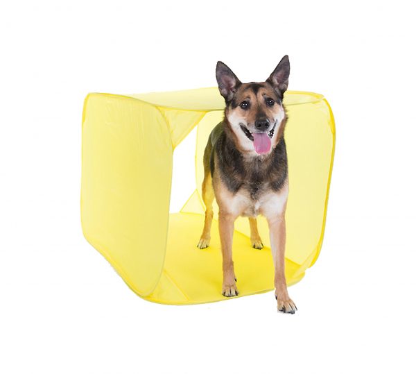 OH42003 ZipZoom Agility Kit Outdoor (prijs per stuk) - Afbeelding 5
