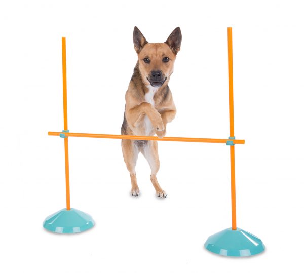 OH42003 ZipZoom Agility Kit Outdoor (prijs per stuk)