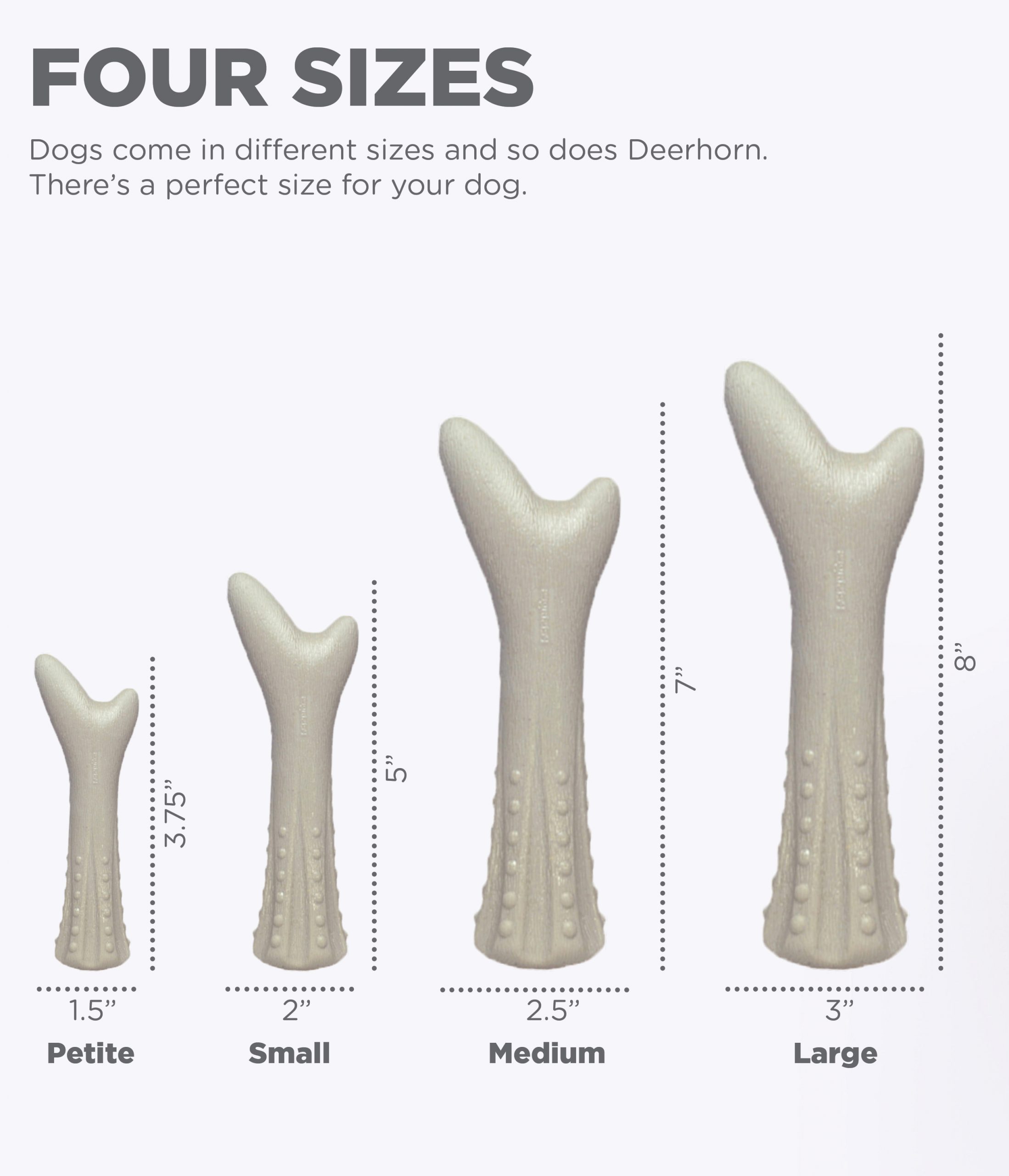667 - Deerhorn Petite (prijs per 3 stuks): - Afbeelding 6