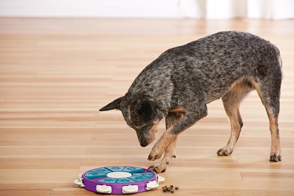 NO-OWH 67335 Dog Twister by Nina Ottosson - Afbeelding 4