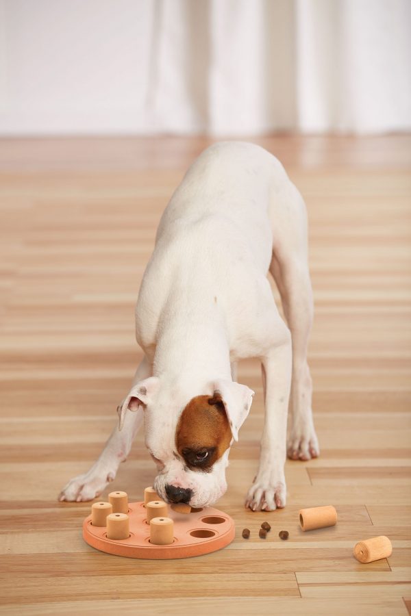 NO-OWH 69539M Dog Smart Composite Org by Nina Ottosson - Afbeelding 3