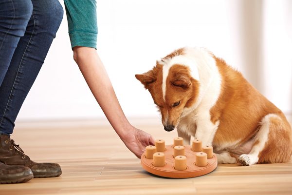 NO-OWH 69539M Dog Smart Composite Org by Nina Ottosson - Afbeelding 2