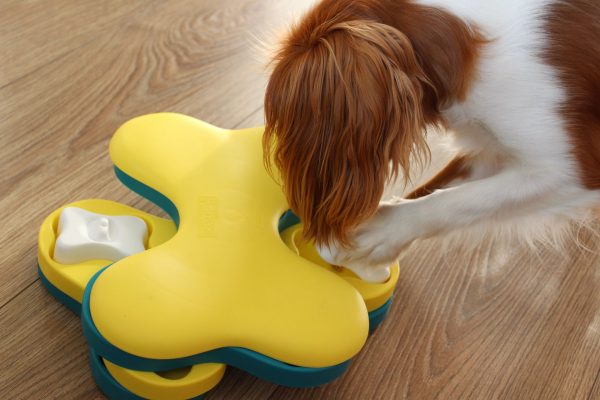 NO-OH 67332 Dog Tornado by Nina Ottosson - Afbeelding 5