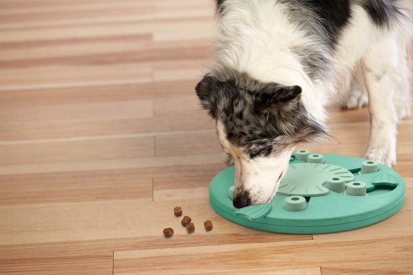 NO-OWH 69541M Dog Worker Grn by Nina Ottosson - Afbeelding 6