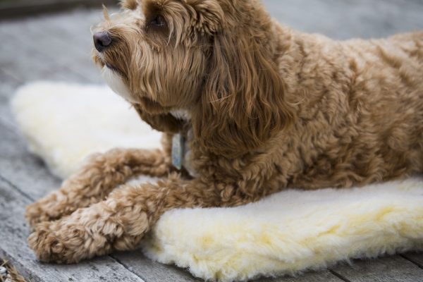 HH40093 HuggleFleece Mat M Naturel - Afbeelding 4