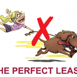 The perfect leash
