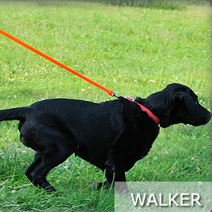 Walker