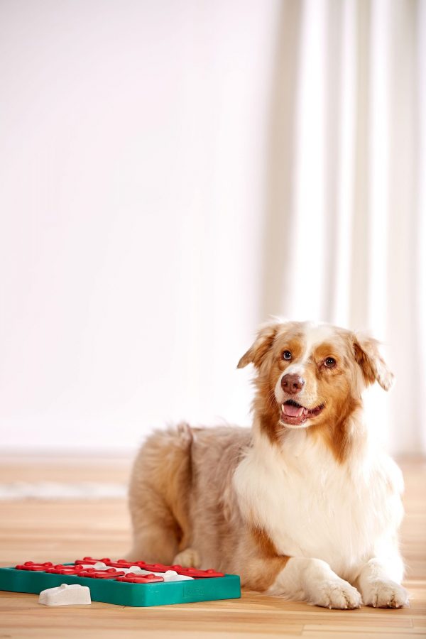 NO-OH 67333 Dog Brick by Nina Ottosson - Afbeelding 6
