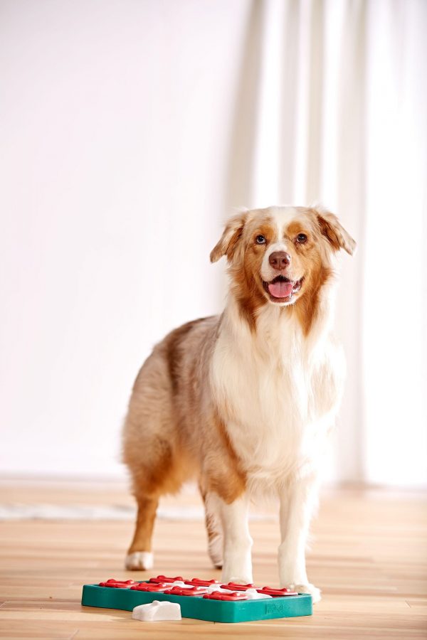 NO-OH 67333 Dog Brick by Nina Ottosson - Afbeelding 5
