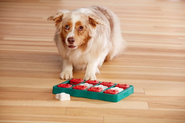 NO-OH 67333 Dog Brick by Nina Ottosson - Afbeelding 4