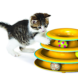 Playing – Spelen