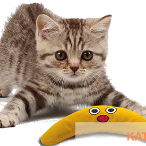 Kat