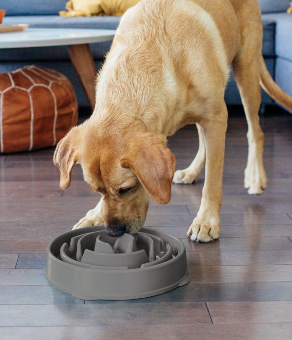 OH69892 - Fun Feeder Drop Gry LG (prijs per stuk) - Afbeelding 4