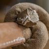 HHN30904 Leather Knotted Bone, Large, HuggleHide Naturals - Afbeelding 12