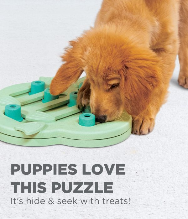 NO-OH 69538 Puppy Hide N Slide by Nina Ottosson - Afbeelding 5