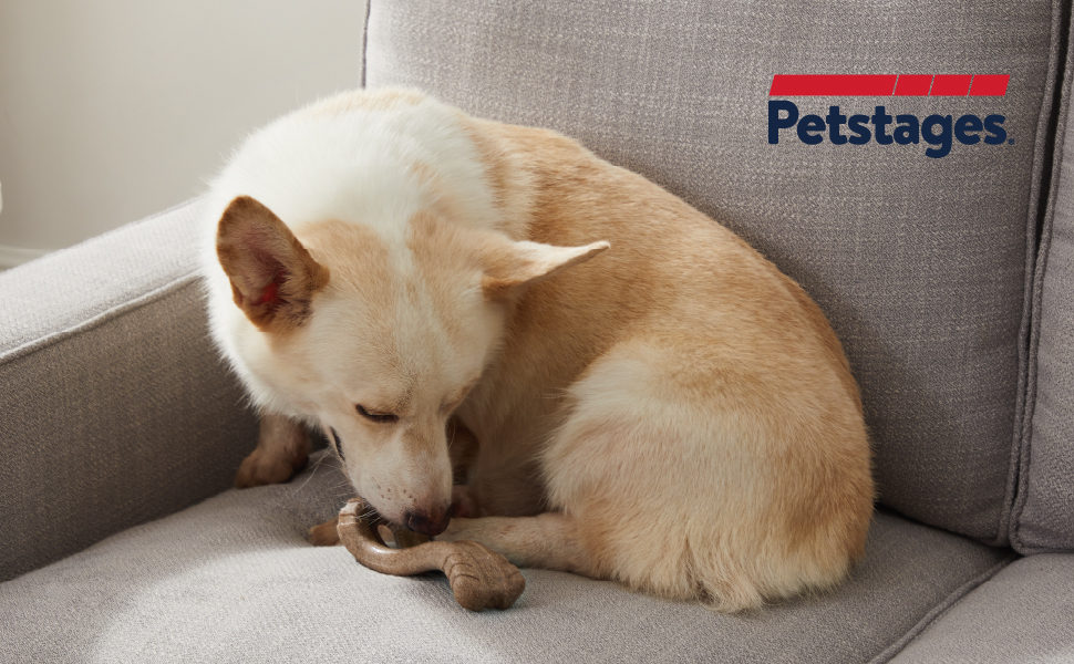 67723M Dogwood Flip & Chew M - Afbeelding 3