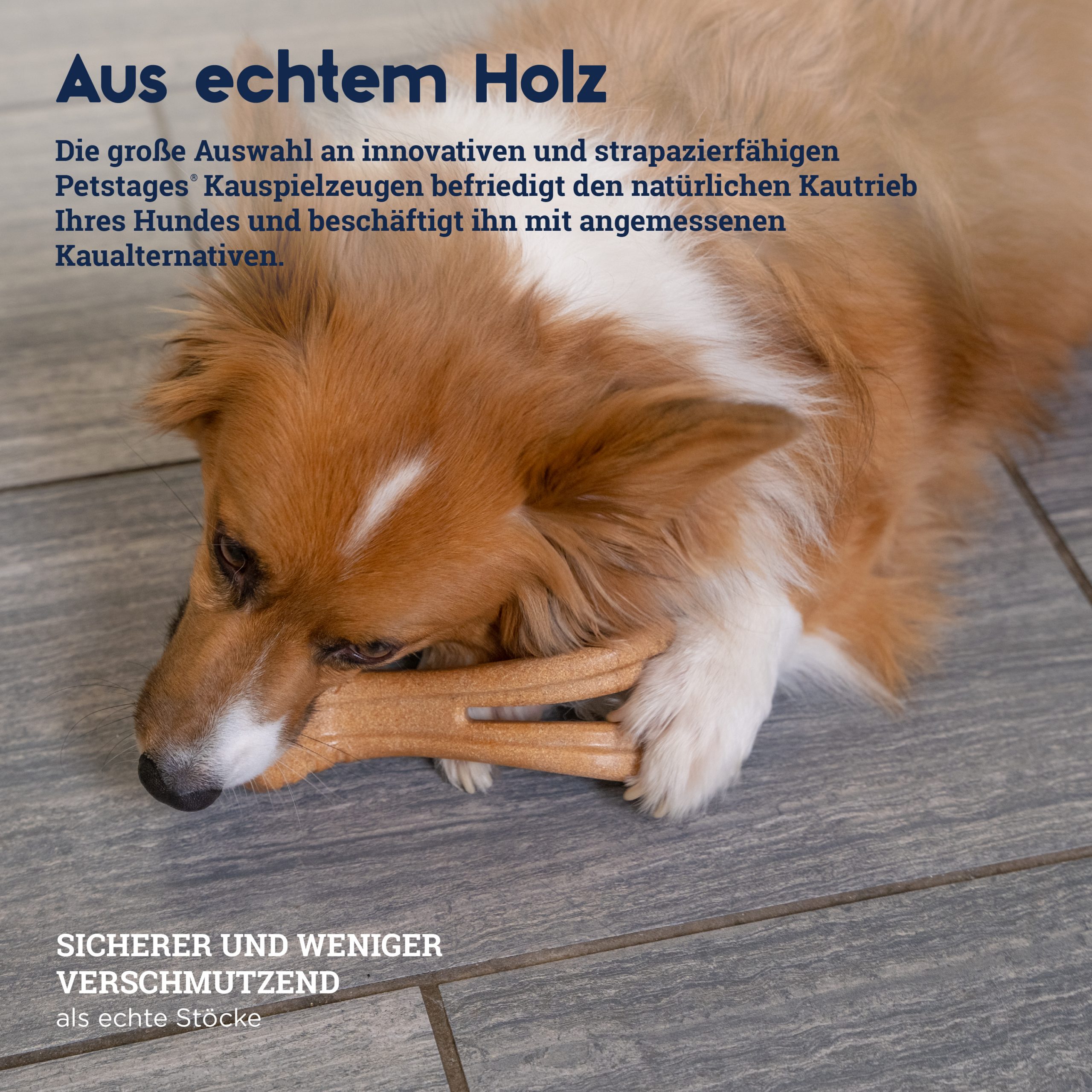 67723M Dogwood Flip & Chew M - Afbeelding 9