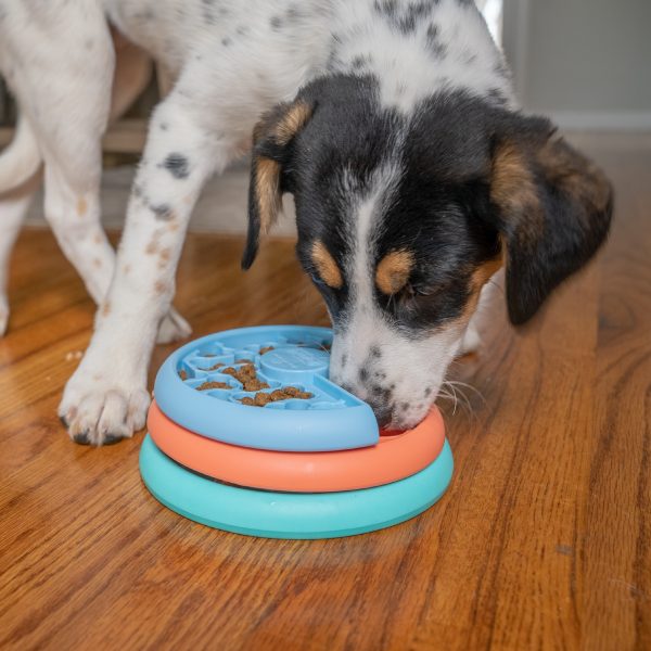 NO-OWH 70886M Puppy Lickin' Layers – by Nina Ottosson - Afbeelding 2