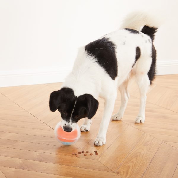 NO-OWH 70761M – Dog Rumble Puzzle by Nina Ottosson - Afbeelding 2