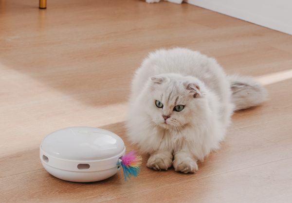 ETI-82021 Speelautomaat voor de kat - Afbeelding 5