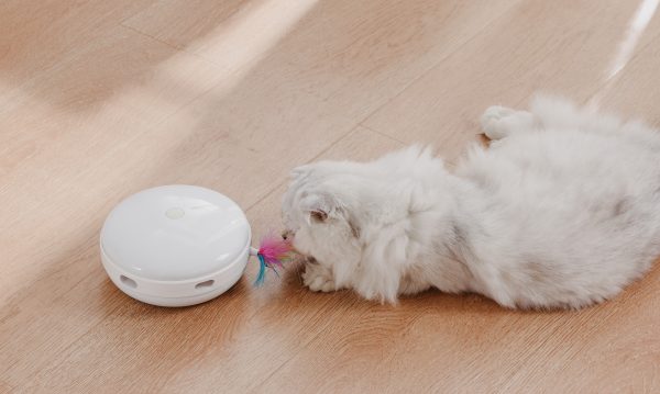 ETI-82021 Speelautomaat voor de kat - Afbeelding 6