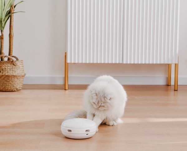 ETI-82021 Speelautomaat voor de kat - Afbeelding 2