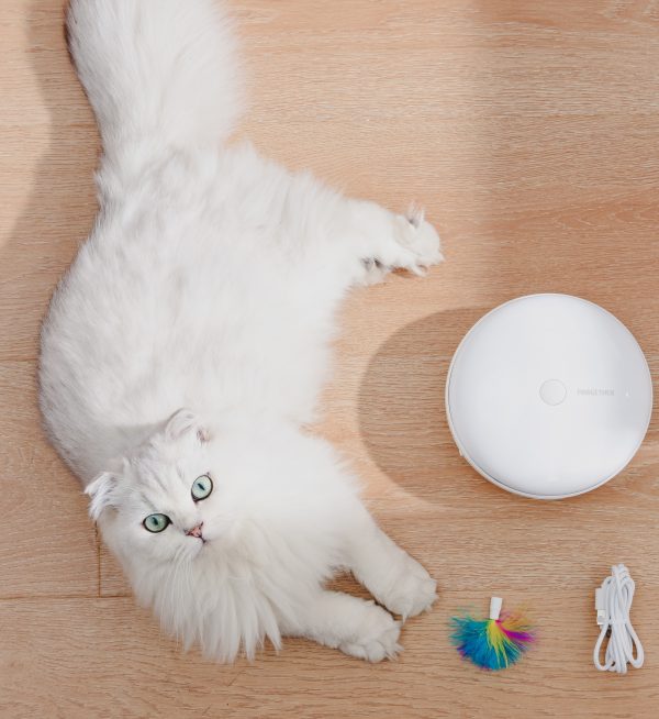 ETI-82021 Speelautomaat voor de kat - Afbeelding 3