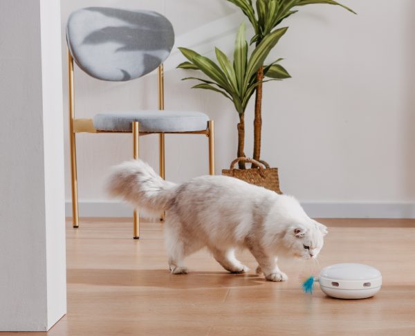 ETI-82021 Speelautomaat voor de kat - Afbeelding 4