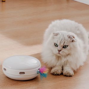 Interactieve Kattenspeeltjes van ETI