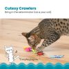 71481M Cute AS A Bug 6Pk– van Catstages (Prijs per omverpakking 3 stuks) - Afbeelding 2