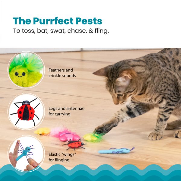 71481M Cute AS A Bug 6Pk– van Catstages (Prijs per omverpakking 3 stuks) - Afbeelding 4
