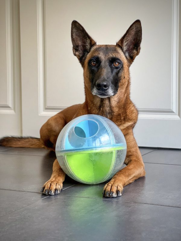 NO-OWH 70763M A-Maze Ball Grn – by Nina Ottosson - Afbeelding 2