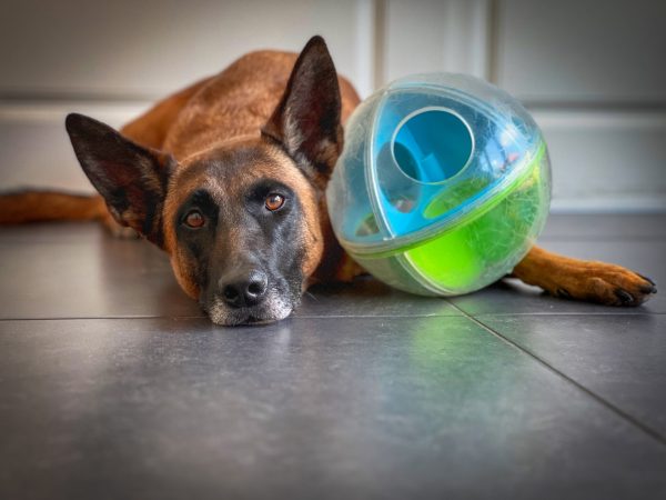 NO-OWH 70763M A-Maze Ball Grn – by Nina Ottosson - Afbeelding 3