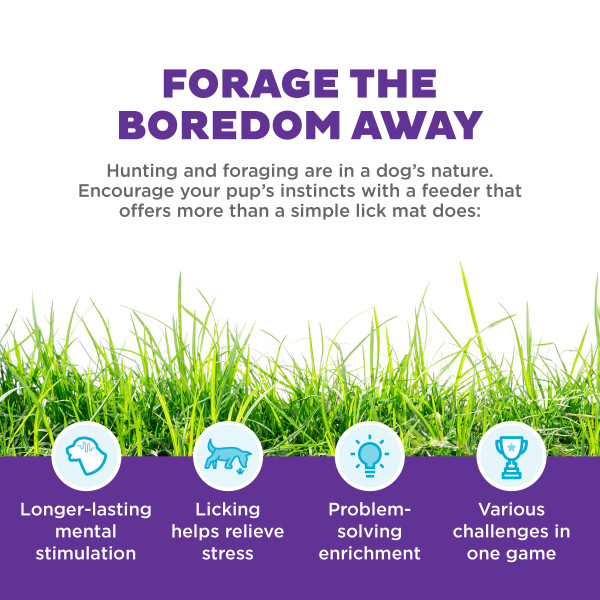 NO-OWH 71863M Lick N'Flip – by Nina Ottosson - Afbeelding 4