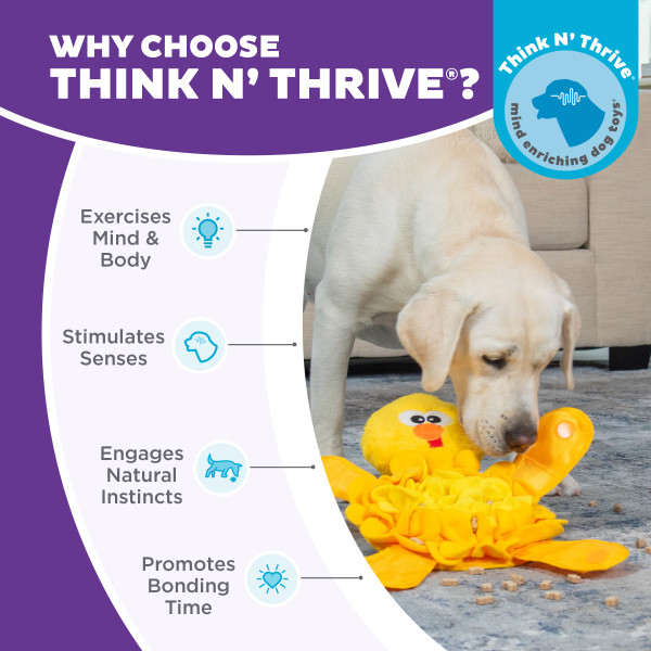 NO-OWH 71490M Snuffle Palz Chicken - Afbeelding 5