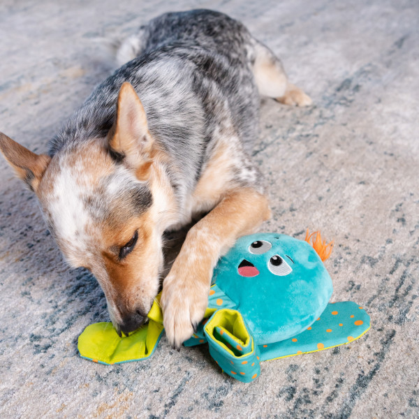 NO-OWH 71618M Silly Legz Octopus - Afbeelding 5
